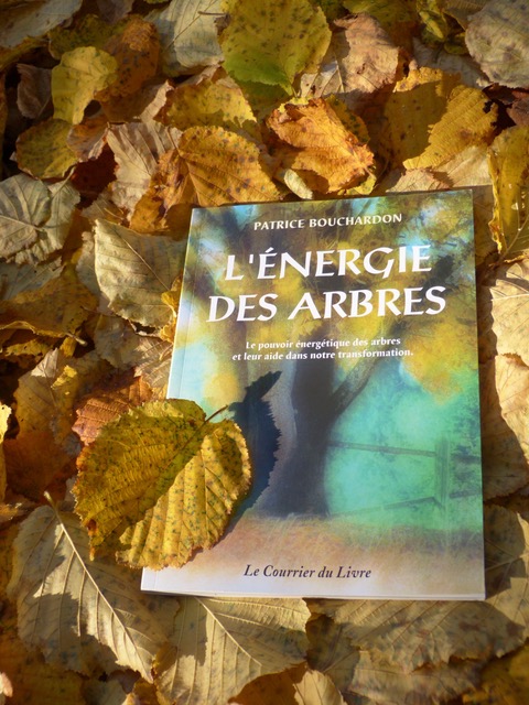 energie des arbres patrice bouchardon livre