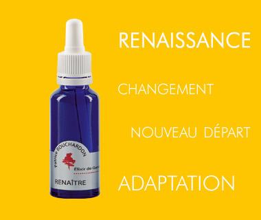 Elixir de Genêt / RENAîTRE